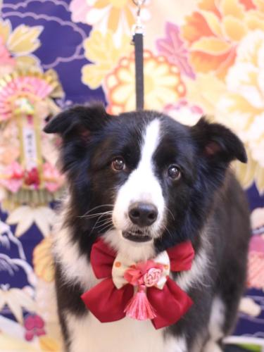 20240128ウィルくん